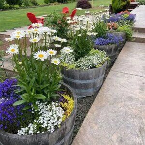 Meet your Posher, Chastity